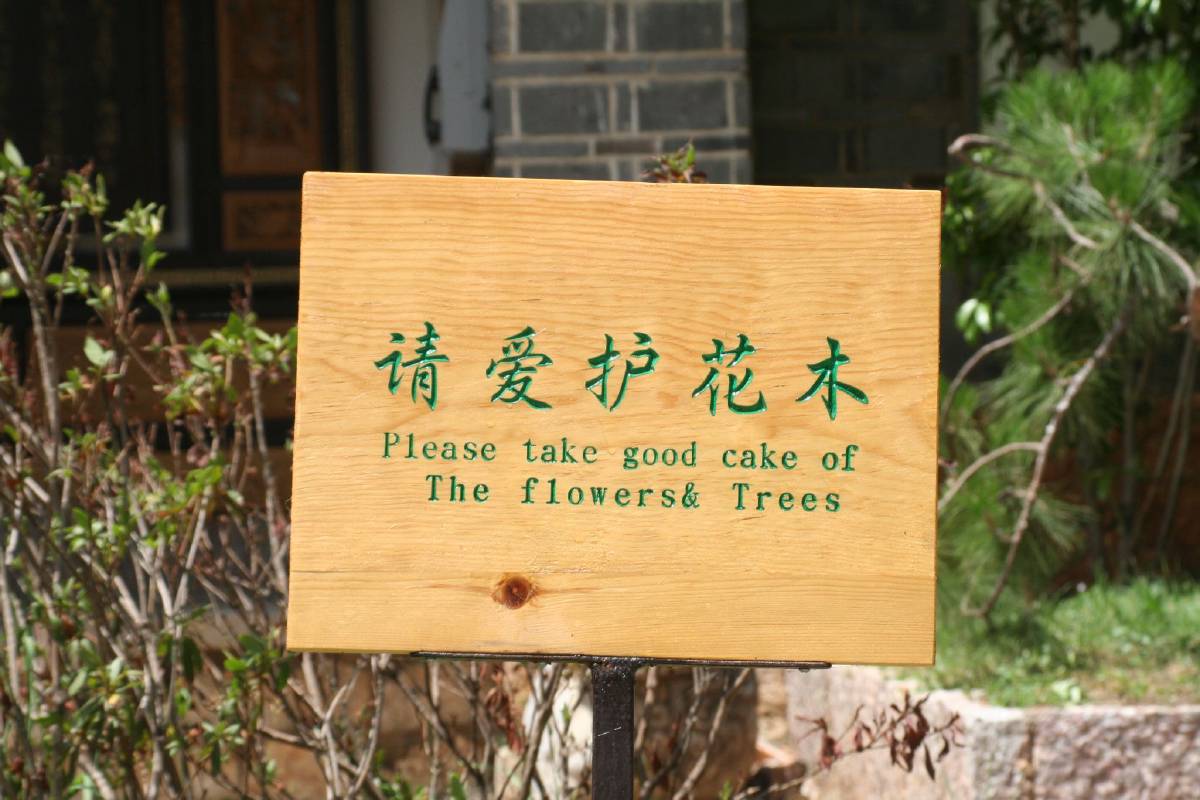 chinese care for creation chinese care for creation