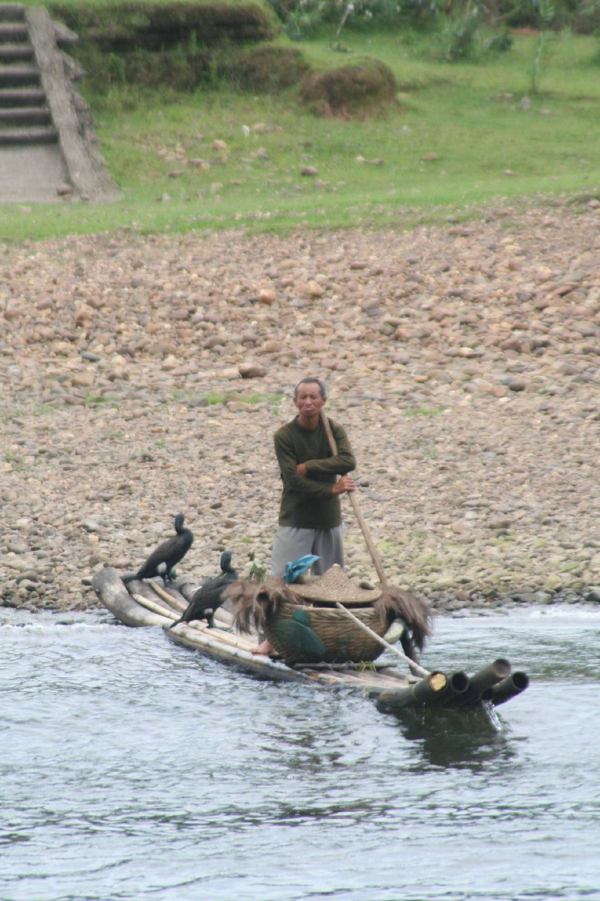 cormorant fisherman li river cormorant fisherman li river