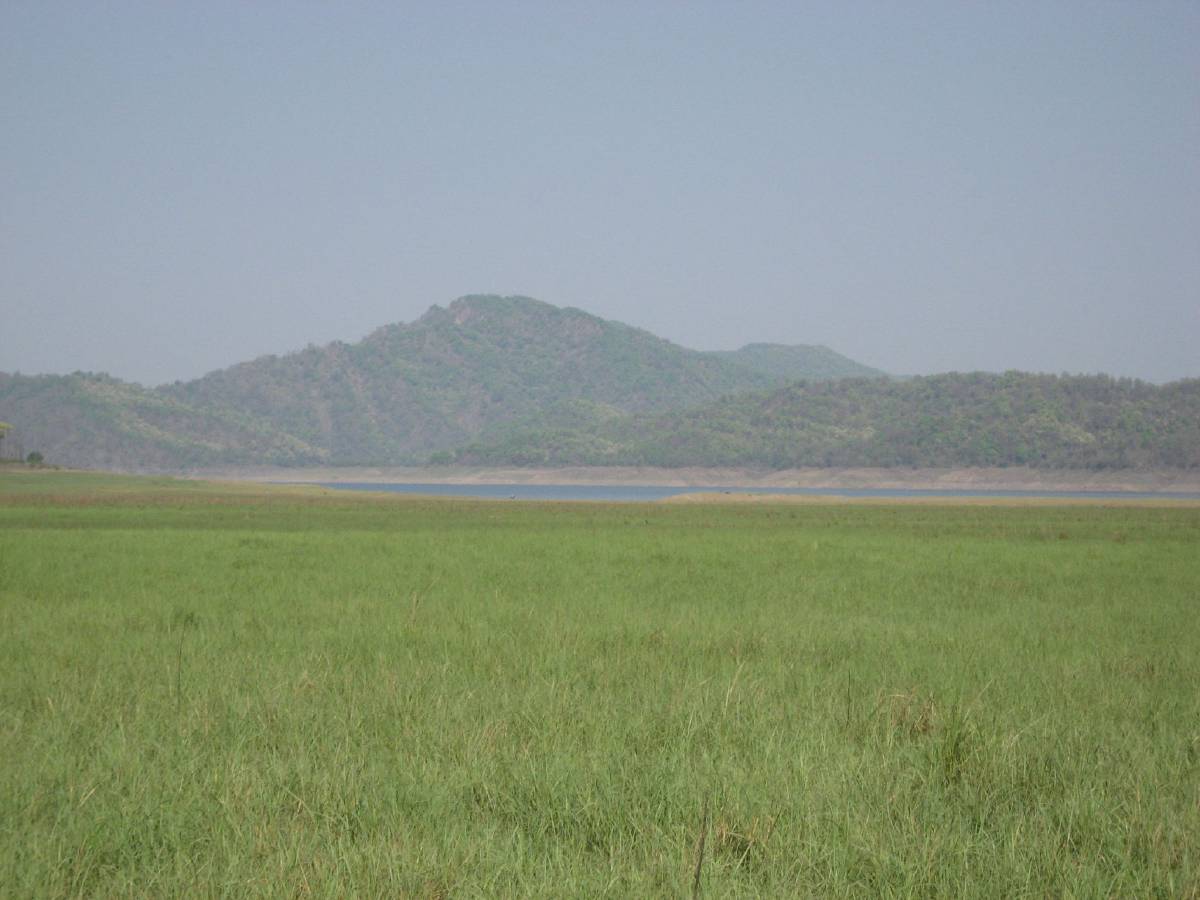 corbett tiger reserve corbett tiger reserve