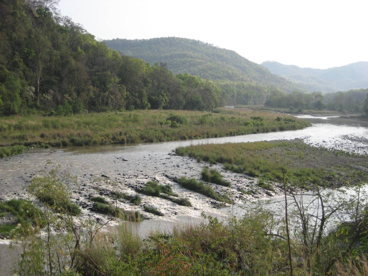 corbett tiger reserve corbett tiger reserve