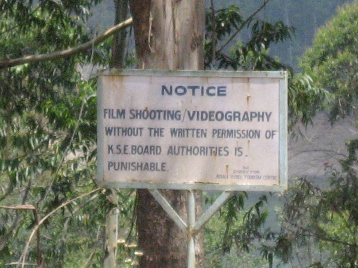 more rules more rules
