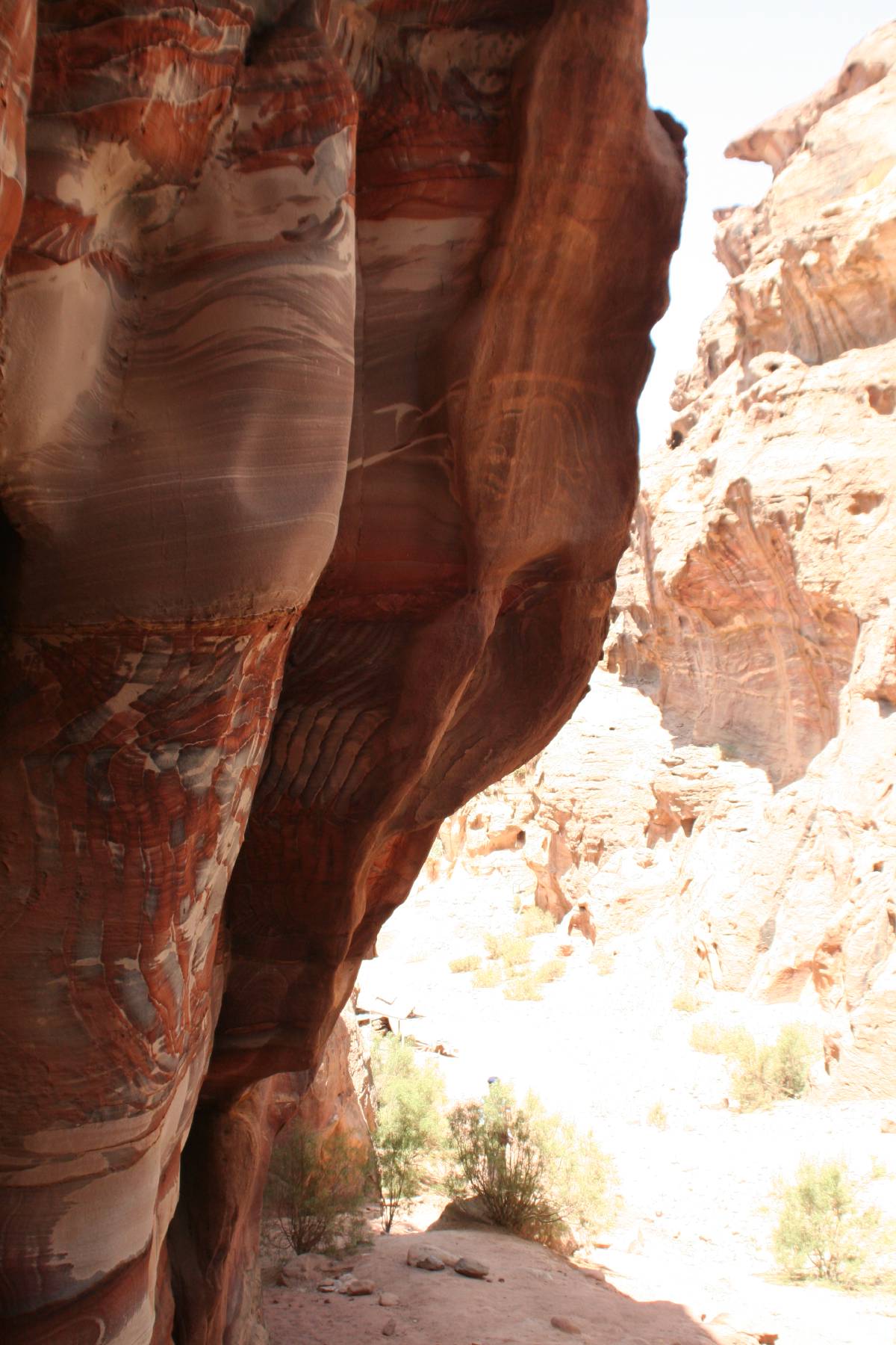 petra petra