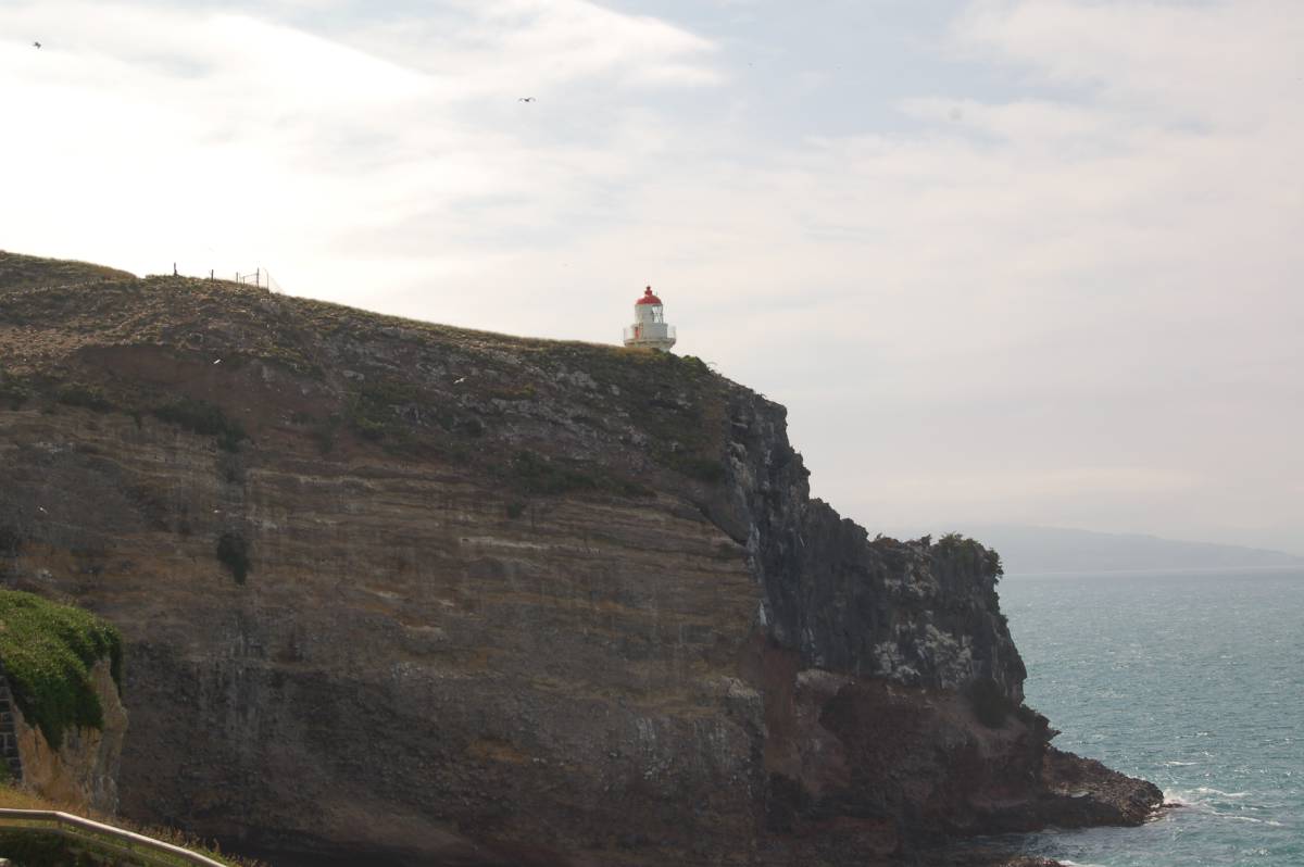 otago lighthouse otago lighthouse