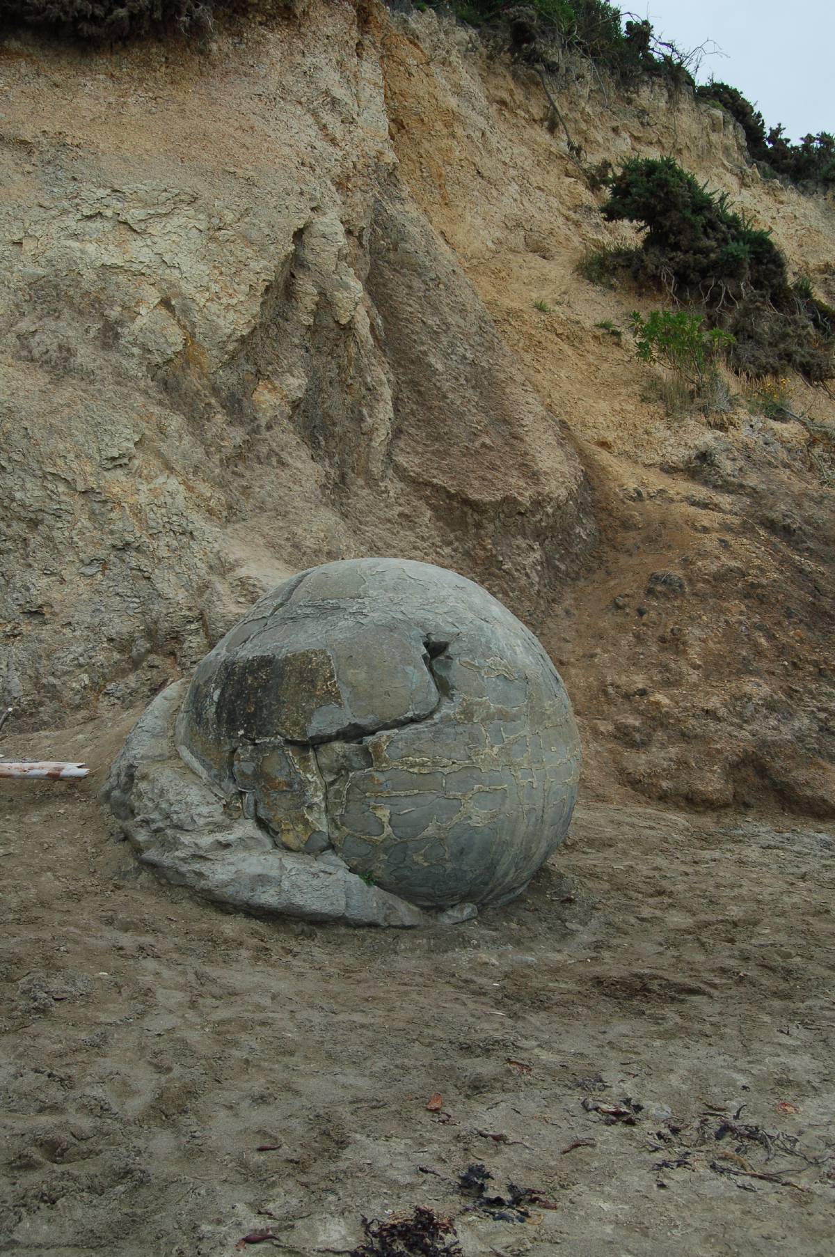 boulders at moeraki boulders at moeraki