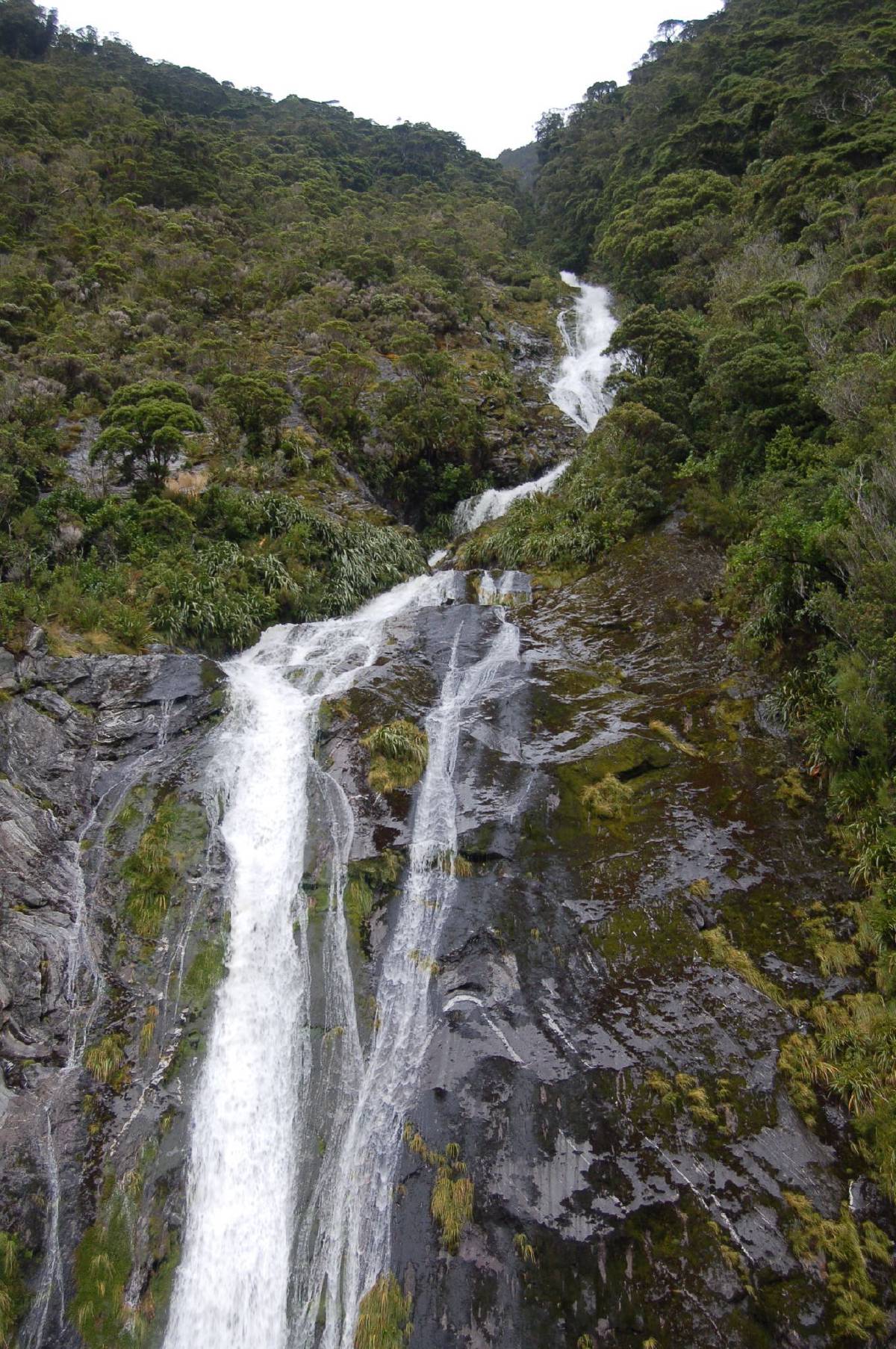 milford sound milford sound