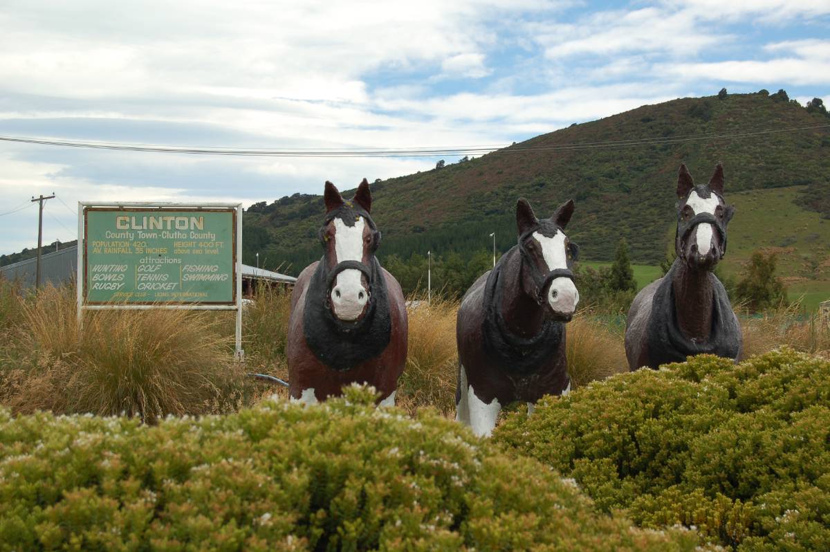 a three horse town a three horse town