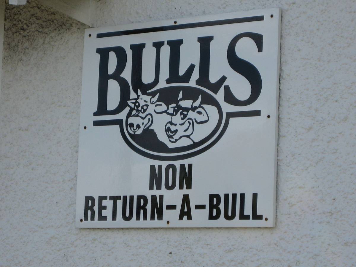bulls nz bulls nz