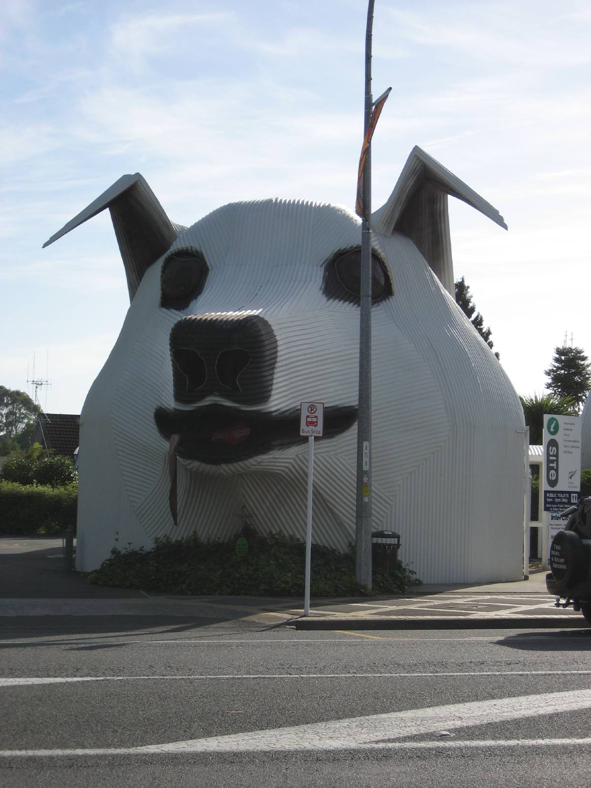 dog house dog house