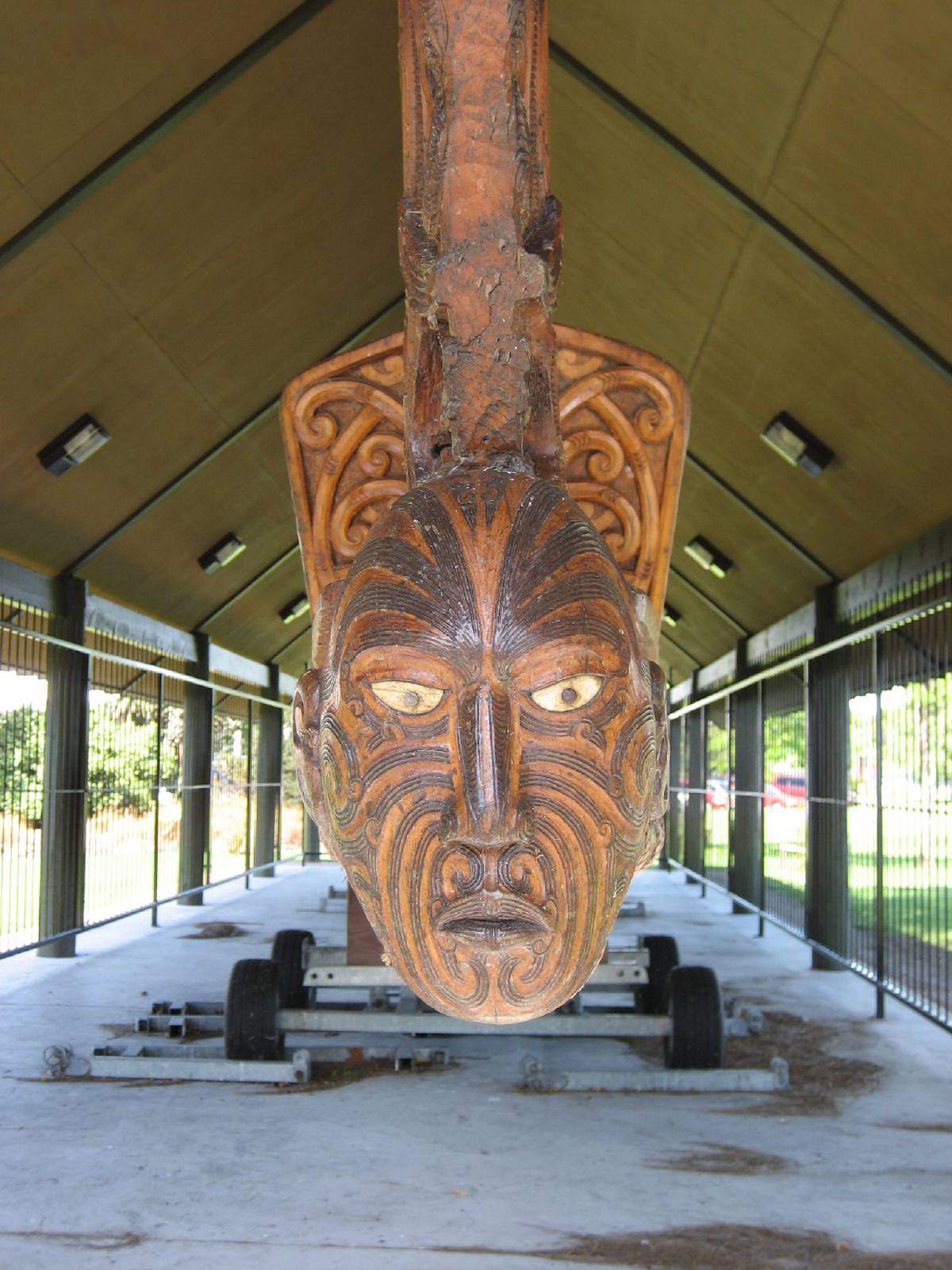 maori waka face maori waka face