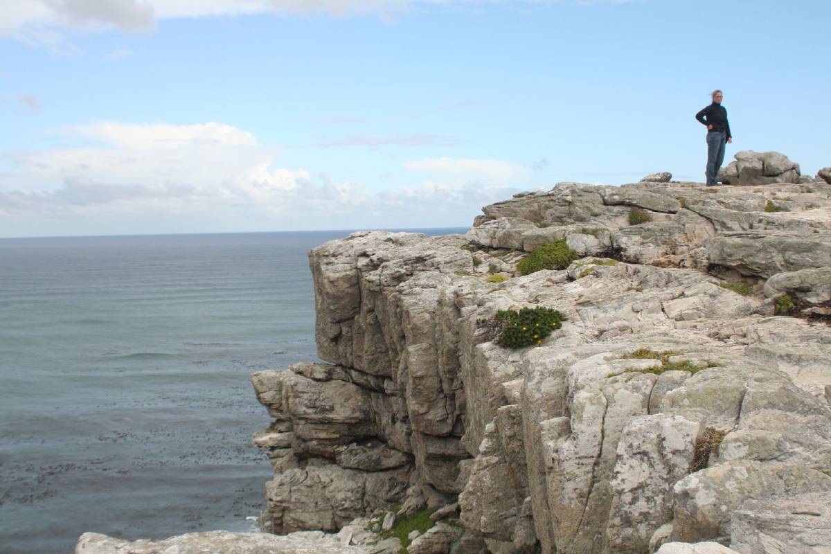 cape of good hope cape of good hope